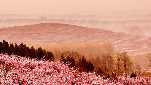 yl23455永利(中国集团)有限公司